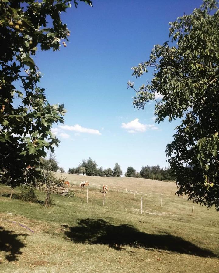 Monte Termine Country House Rioveggio Exterior foto