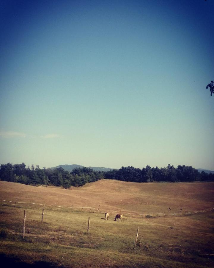Monte Termine Country House Rioveggio Exterior foto