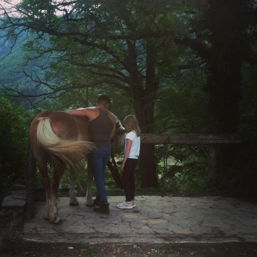 Monte Termine Country House Rioveggio Exterior foto