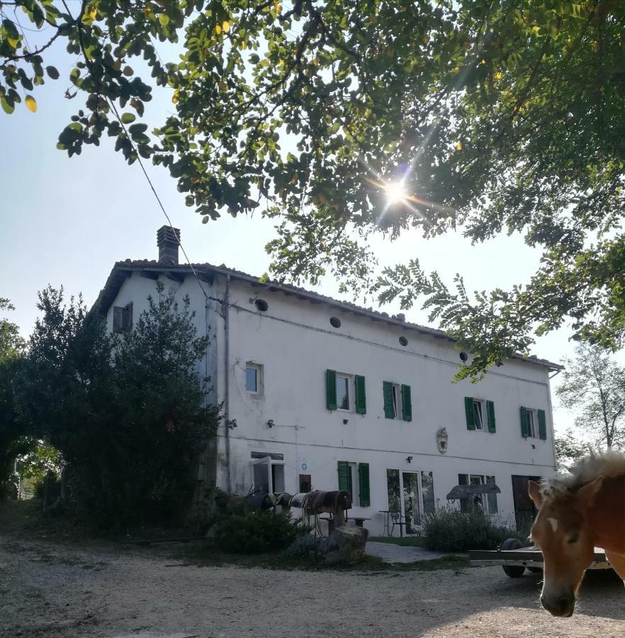 Monte Termine Country House Rioveggio Exterior foto